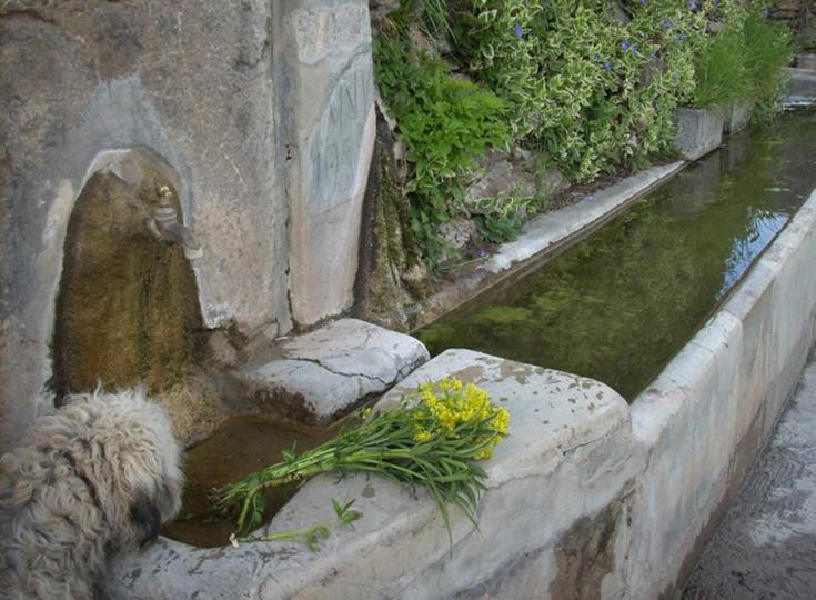 Casa Rural Vilaspasa, Alquiler Integro Gotarta Экстерьер фото